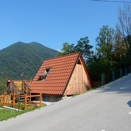 فندق Glamping Tinka تولمين المظهر الخارجي الصورة