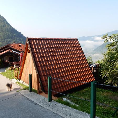 فندق Glamping Tinka تولمين المظهر الخارجي الصورة