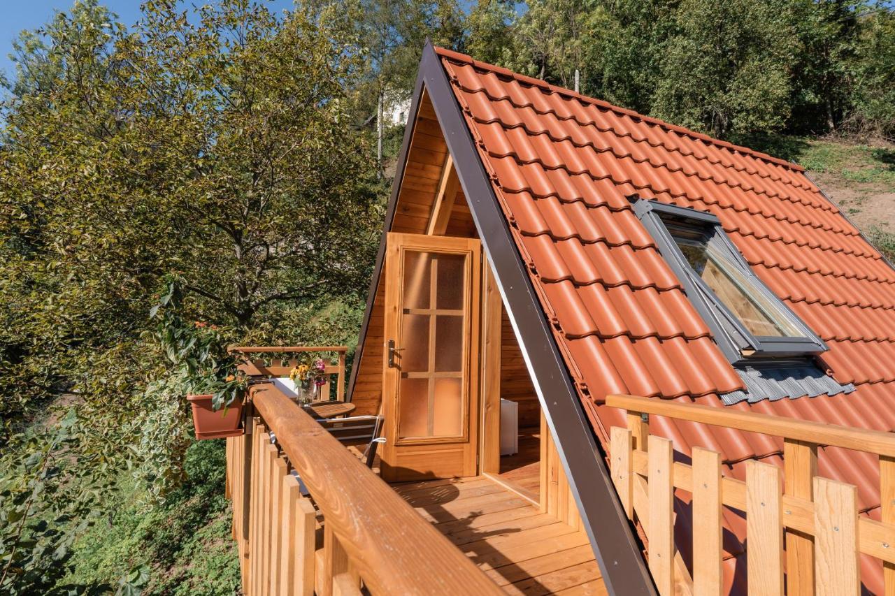 فندق Glamping Tinka تولمين المظهر الخارجي الصورة